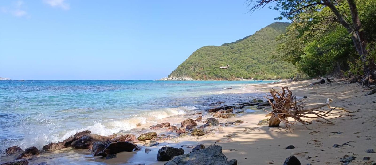 Mirador Playa Cristal Tayrona 호텔 Nenguange 외부 사진